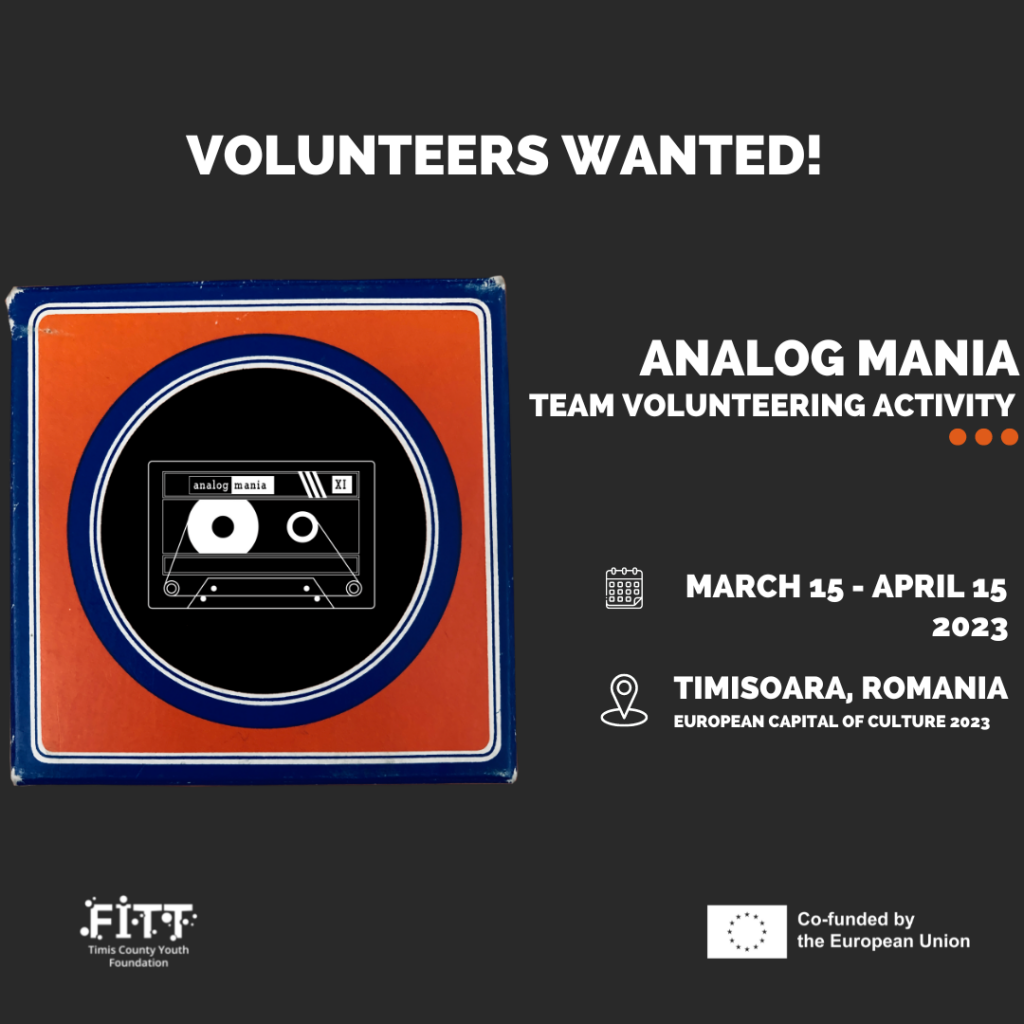 Analog Mania - team volunteering activity